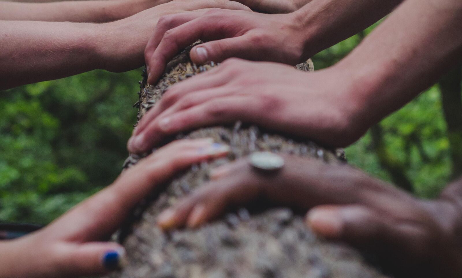 Hands placed on a tree working together